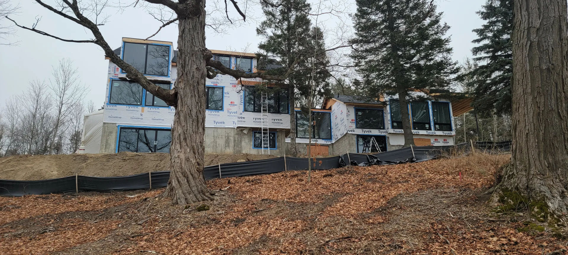 Windows — Canada Elite Build Group